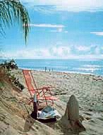 cocoabeach.jpg - 9.64 K