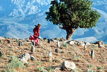 windwillacrryus2.jpg - 44.06 K