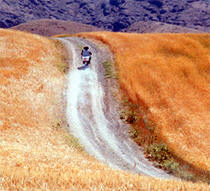 windwillcarry.jpg - 13.87 K