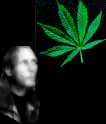 aidspot.gif - 7.80 K