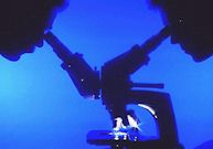 aidsresearch.jpg - 4.88 K