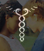 lesbhealth.gif - 18.10 K