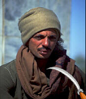 circums.jpg - 9.08 K