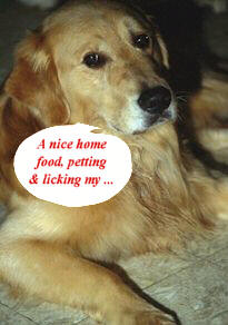 labrettalking.jpg - 14.75 K