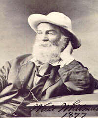 wwhitman4.jpg - 8.68 K