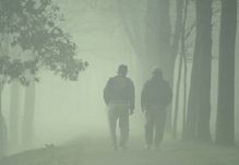 plants3.jpg - 4.46 K