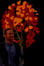 cruiser2.jpg - 8.22 K