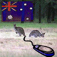 aussienet.jpg - 10.37 K