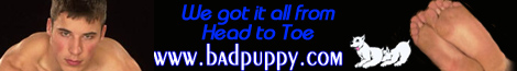 Badpuppy.com