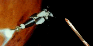 sdi2.gif - 32.66 K