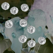 nickelgay.gif - 23.35 K