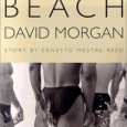 Almost simultaneously, St. Martin’s Press has published the above two coffee table books filled with photographs of male nudes. Beach is unembarrassedly homoerotic. Curiously, however, David Morgan, the author, declines […]