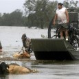 Torrential rain dropped by Hurricane Isaac threatened to burst a dam on Thursday, forcing evacuation of up to 60,000 people in Louisiana and Mississippi and leaving large areas of the […]