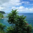 Gay conversion therapy may soon be outlawed in the Aloha State. Hawaii’s governor is expected to sign legislation that would ban gay conversion therapy for minors. Hawaii would join 10 […]