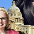 Indiana Republican congressman Jim Banks is flipping his wig over a drag fundraiser that supported his opponent’s campaign. He’s threatening to file an ethics complaint with the Federal Election Commission […]