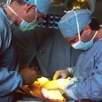 A 36-year-old cis man born without testicles in Belgrade, Serbia has just received a testicular transplant from his identical twin brother to help his body produce its own testosterone and […]