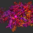 The Coronavirus outbreak is causing widespread global panic, which is also leading to the spread of misinformation that experts worry will cause a shortage of vital HIV medications. Newsweek reports […]