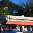 House Republicans are celebrating LGBTQ Pride Month by voting down a measure that would ensure LGBTQ-owned small businesses have equal access to credit. The bill would require financial institutions to collect […]