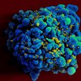 To date, HIV has been eliminated in five patients who have received bone marrow transplants to treat cancer. There is “strong evidence” that the man known as the “Düsseldorf patient” […]