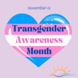 November is Transgender Awareness Month, a month which, in the words of Heckin’ Unicorn (heckinunicorn.com), “is an annual celebration of transgender history and the transgender community. It is celebrated every […]