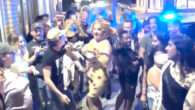 In a moment of resistance and queer solidarity, a drag show went on despite patrons and performers being kicked out of a bar by about 20 police officers in bulletproof […]