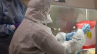 HIV researchers in Australia have figured out a way to make the virus visible in white blood cells using mRNA, something that could lead to an eventual cure. Researchers from […]