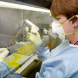 A U.S. district court judge has ruled in favor of LGBTQ+ health researchers who sued after the administration began targeting so-called “woke” programs for elimination and defunding. The lawsuit, GLMA […]